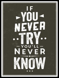 Мотивационный постер "Не попробуешь не узнаешь"