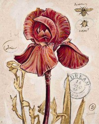 Постер в стиле Прованс: Постер с тюльпаном