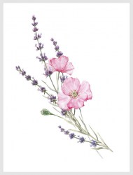 Постер в стиле Прованс: Розовые цветы