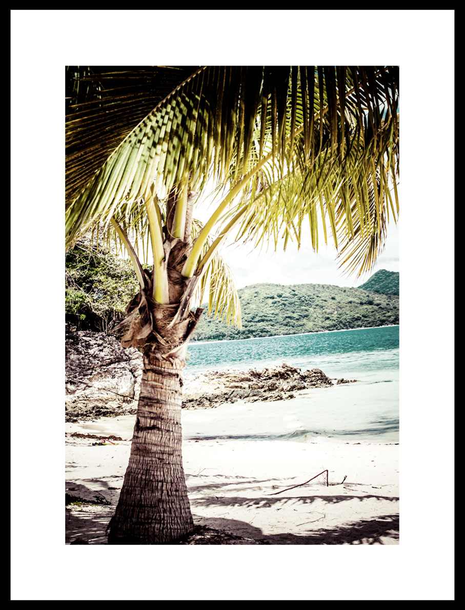 Постеры пальма пляж берег море остров песок