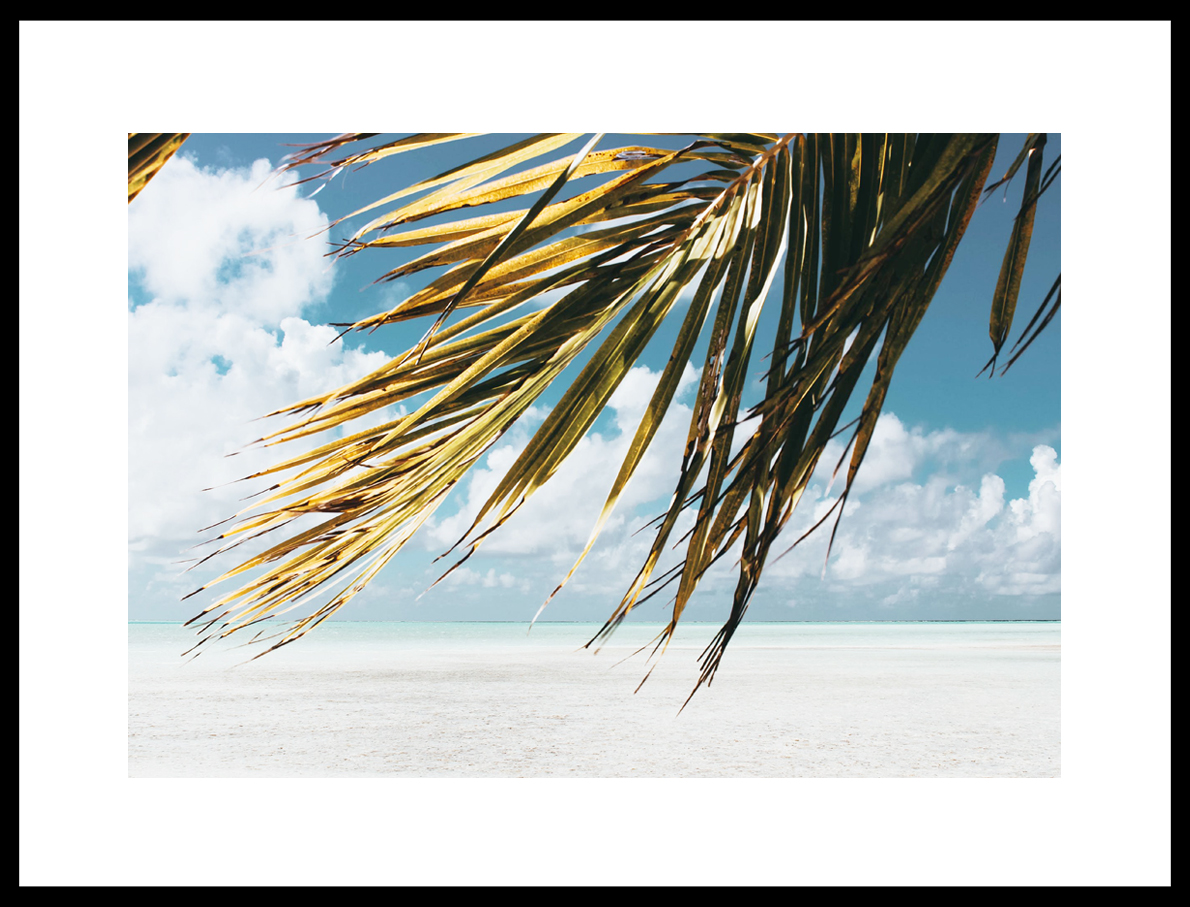 Постер пальма пляж лето облака солнце