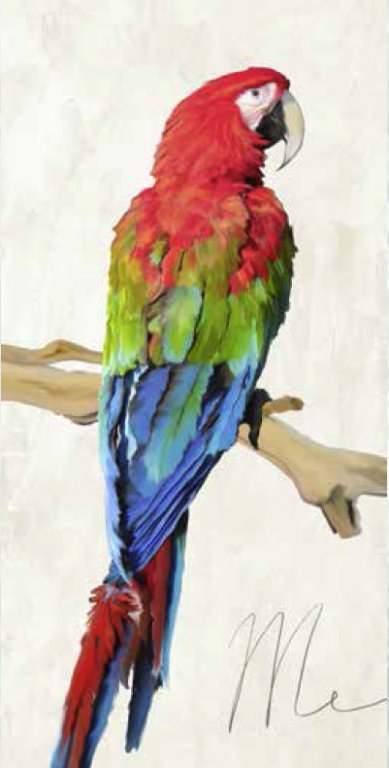 Постер попугай картина текстурная бумага