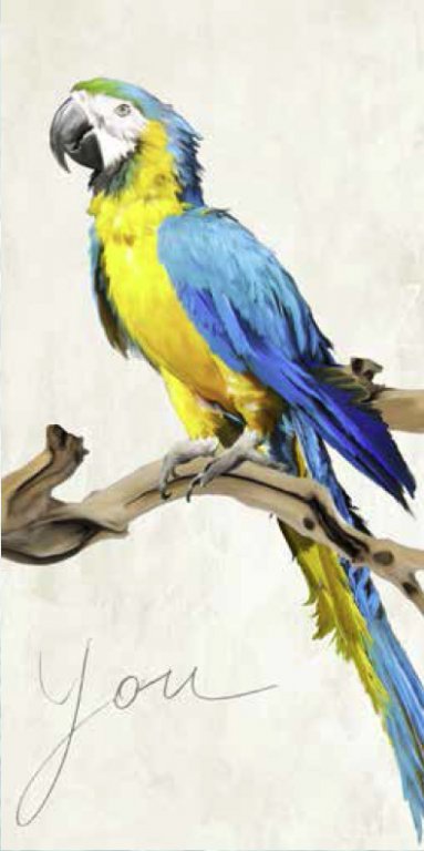 Постер попугай картина текстурная бумага