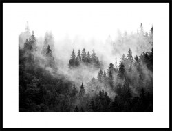Черно белый Постер лес в тумане
