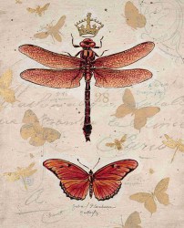 Постер с насекомыми