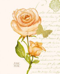 Постер с розой