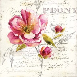 Постер "Пион" на текстурной бумаге
