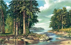 Постер лес река сосны картина текстурная бумага