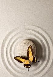 Постер бабочками минимализм медитация спокойствие йога матовая бумага